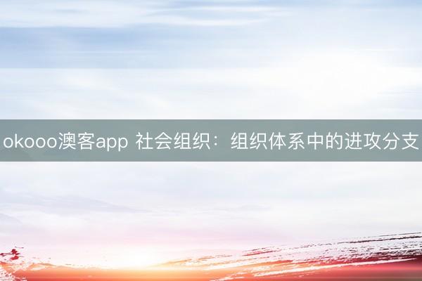 okooo澳客app 社会组织：组织体系中的进攻分支