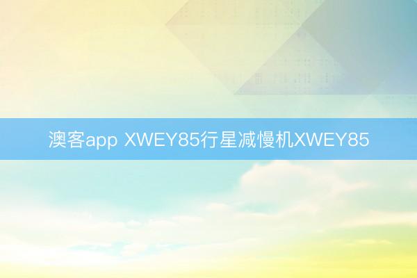澳客app XWEY85行星减慢机XWEY85