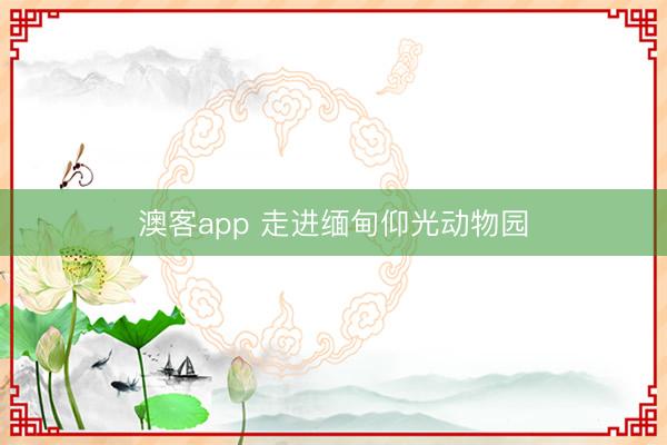 澳客app 走进缅甸仰光动物园