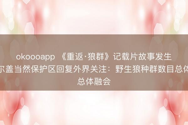 okoooapp 《重返·狼群》记载片故事发生地若尔盖当然保护区回复外界关注:野生狼种群数目总体融会