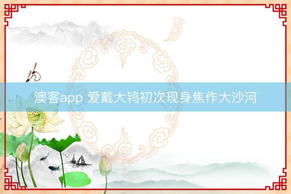 澳客app 爱戴大鸨初次现身焦作大沙河