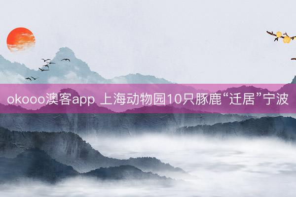 okooo澳客app 上海动物园10只豚鹿“迁居”宁波