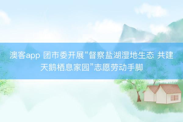 澳客app 团市委开展“督察盐湖湿地生态 共建天鹅栖息家园”志愿劳动手脚