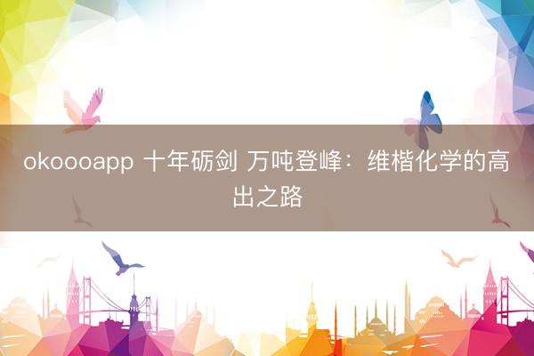 okoooapp 十年砺剑 万吨登峰:维楷化学的高出之路
