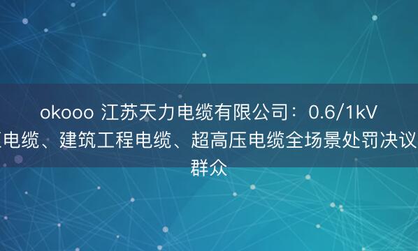 okooo 江苏天力电缆有限公司：0.6/1kV低压电缆、建筑工程电缆、超高压电缆全场景处罚决议群众