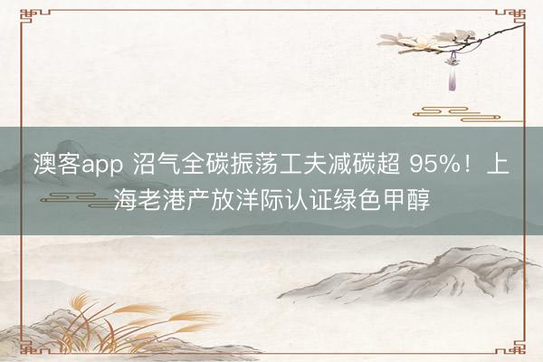 澳客app 沼气全碳振荡工夫减碳超 95%！上海老港产放洋际认证绿色甲醇