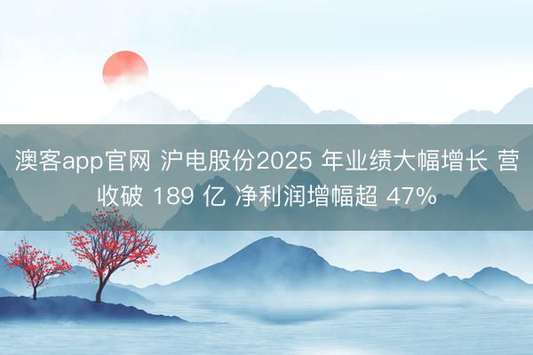 澳客app官网 沪电股份2025 年业绩大幅增长 营收破 189 亿 净利润增幅超 47%