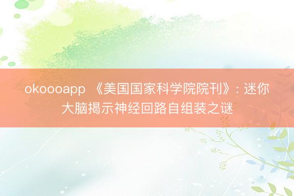 okoooapp 《美国国家科学院院刊》: 迷你大脑揭示神经回路自组装之谜