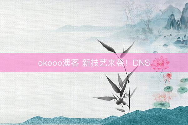 okooo澳客 新技艺来袭!DNS