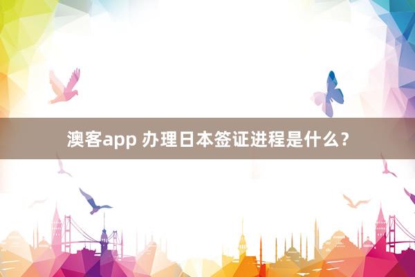 澳客app 办理日本签证进程是什么？