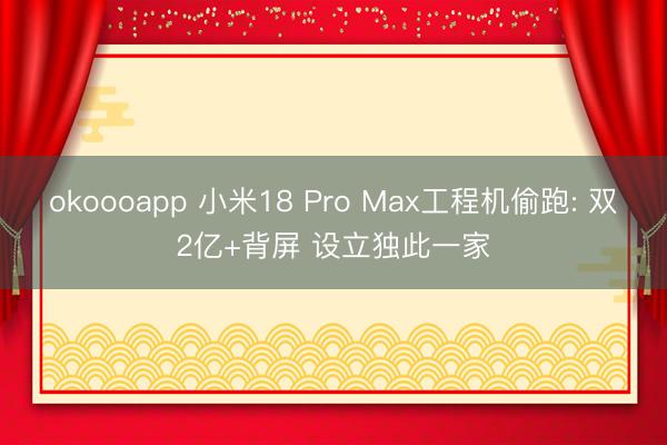 okoooapp 小米18 Pro Max工程机偷跑: 双2亿+背屏 设立独此一家