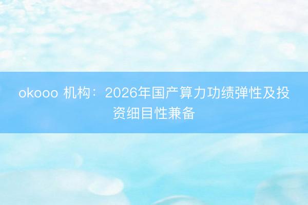 okooo 机构：2026年国产算力功绩弹性及投资细目性兼备