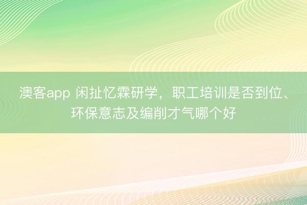 澳客app 闲扯忆霖研学，职工培训是否到位、环保意志及编削才气哪个好