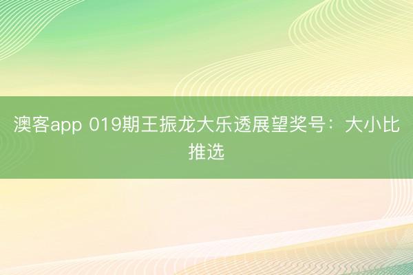 澳客app 019期王振龙大乐透展望奖号:大小比推选