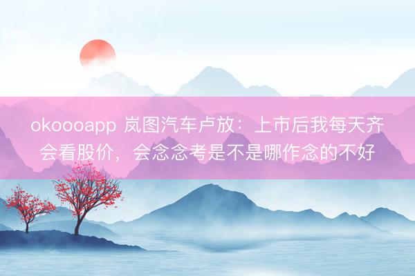 okoooapp 岚图汽车卢放:上市后我每天齐会看股价,会念念考是不是哪作念的不好