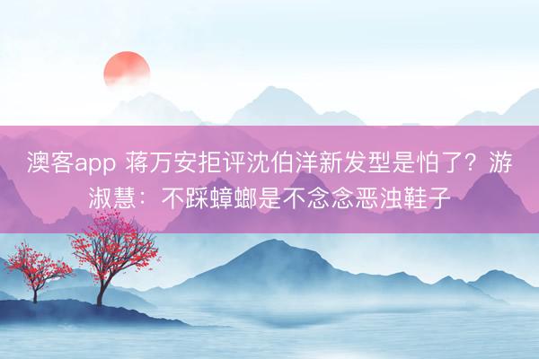澳客app 蒋万安拒评沈伯洋新发型是怕了？游淑慧：不踩蟑螂是不念念恶浊鞋子