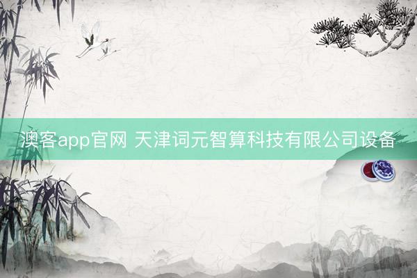 澳客app官网 天津词元智算科技有限公司设备