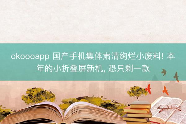 okoooapp 国产手机集体肃清绚烂小废料! 本年的小折叠屏新机， 恐只剩一款