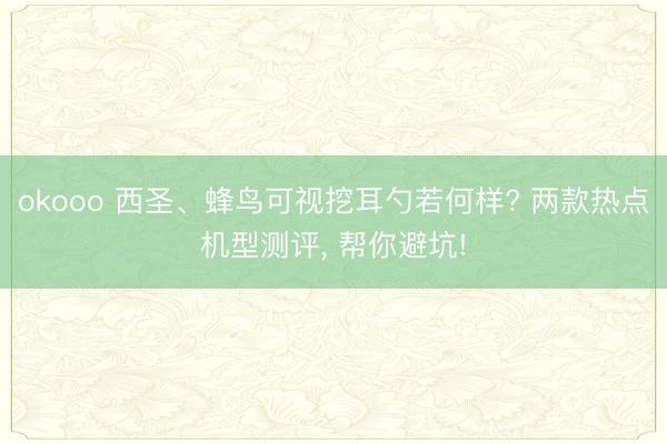 okooo 西圣、蜂鸟可视挖耳勺若何样? 两款热点机型测评， 帮你避坑!