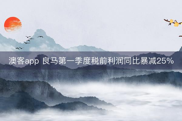 澳客app 良马第一季度税前利润同比暴减25%