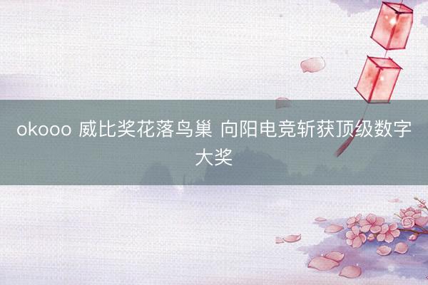 okooo 威比奖花落鸟巢 向阳电竞斩获顶级数字大奖